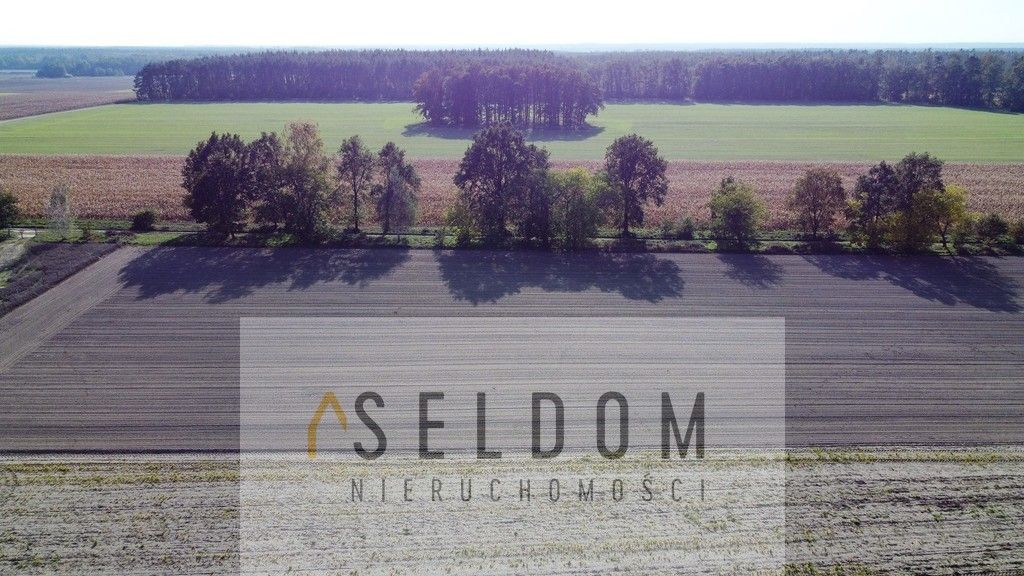 Działka budowlana Lipowa. Zdjęcie 5