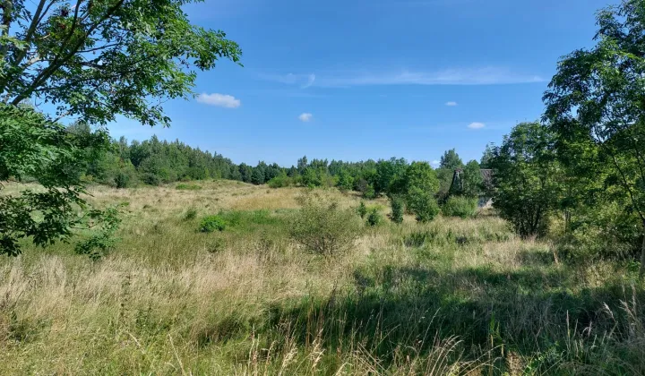 Działka rolna Leleszki