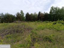 Działka budowlana Mieszkowo, ul. Szklarniowa. Zdjęcie 3