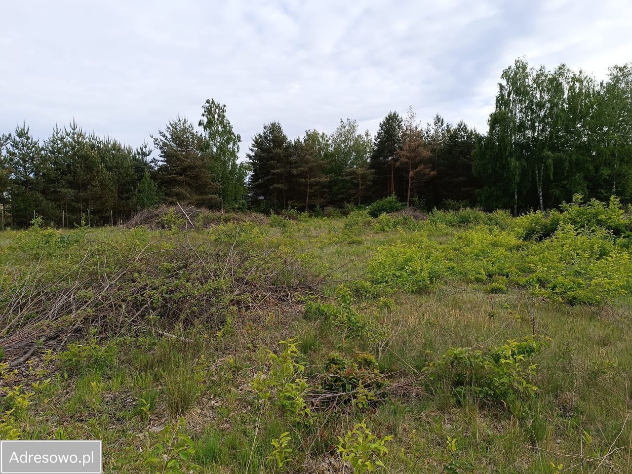 Działka budowlana Mieszkowo, ul. Szklarniowa. Zdjęcie 4