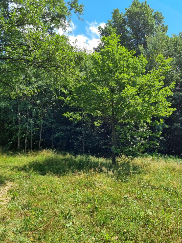 Działka budowlana Bielsko-Biała, Wawelska/Deszczowa. Zdjęcie 15