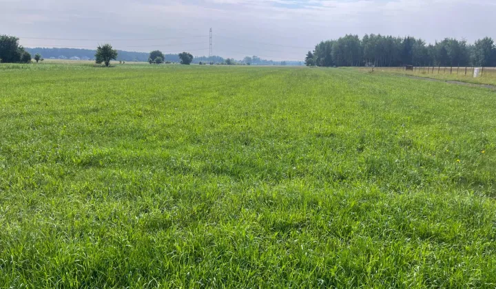 Działka budowlana Borowa, ul. Polna