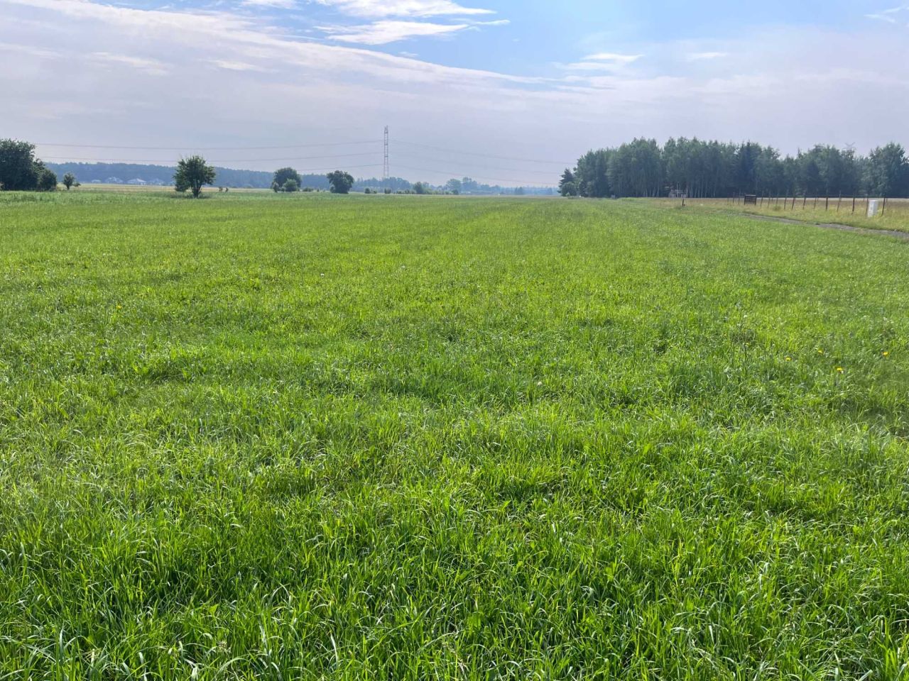 Działka budowlana Borowa, ul. Polna. Zdjęcie 1