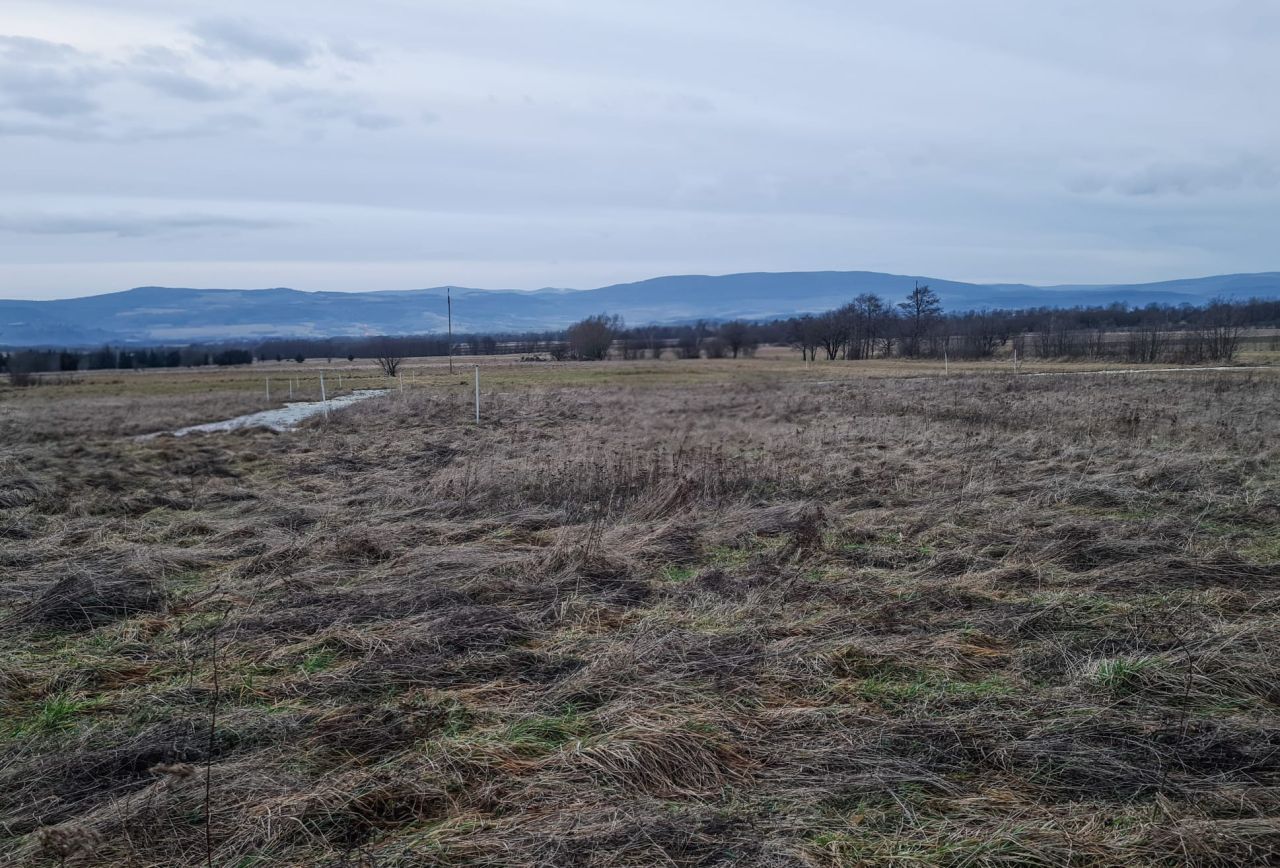 Działka budowlana Jaworek, Jaworek. Zdjęcie 8