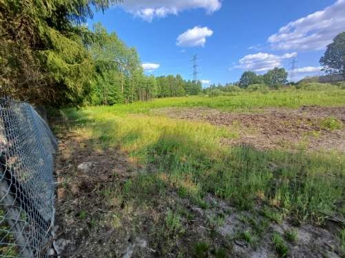 Działka rolno-budowlana Wola Karczewska, ul. Rutki