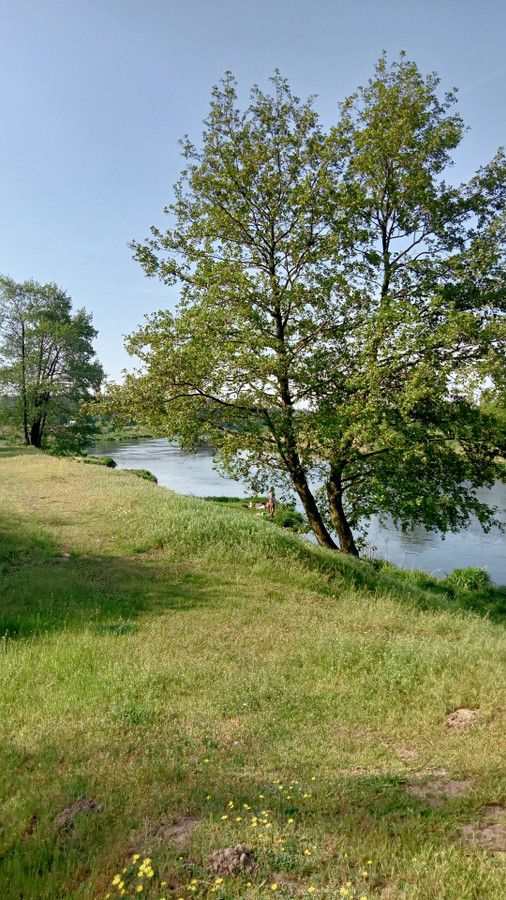 Działka rolna Skęczniew. Zdjęcie 3