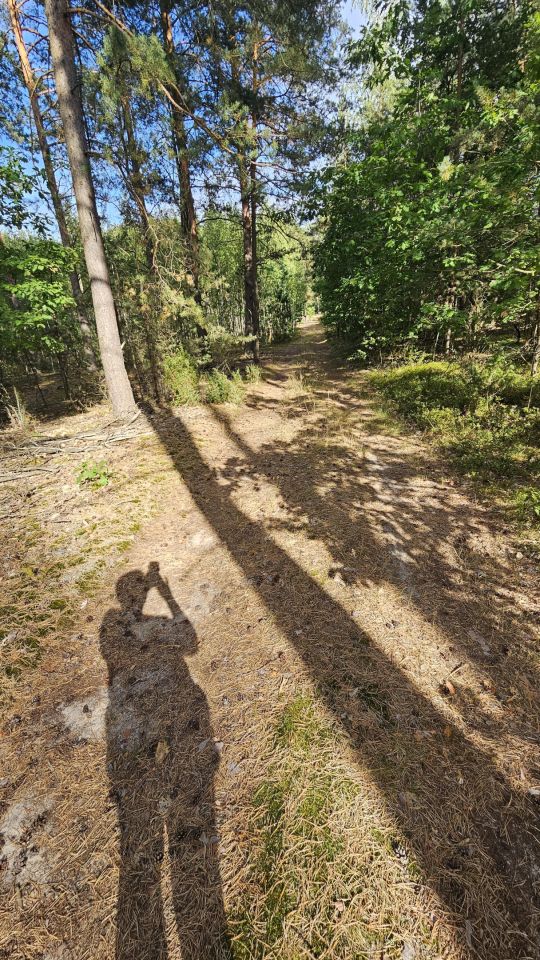 Działka leśna Janowo, ul. Przasnyska. Zdjęcie 11