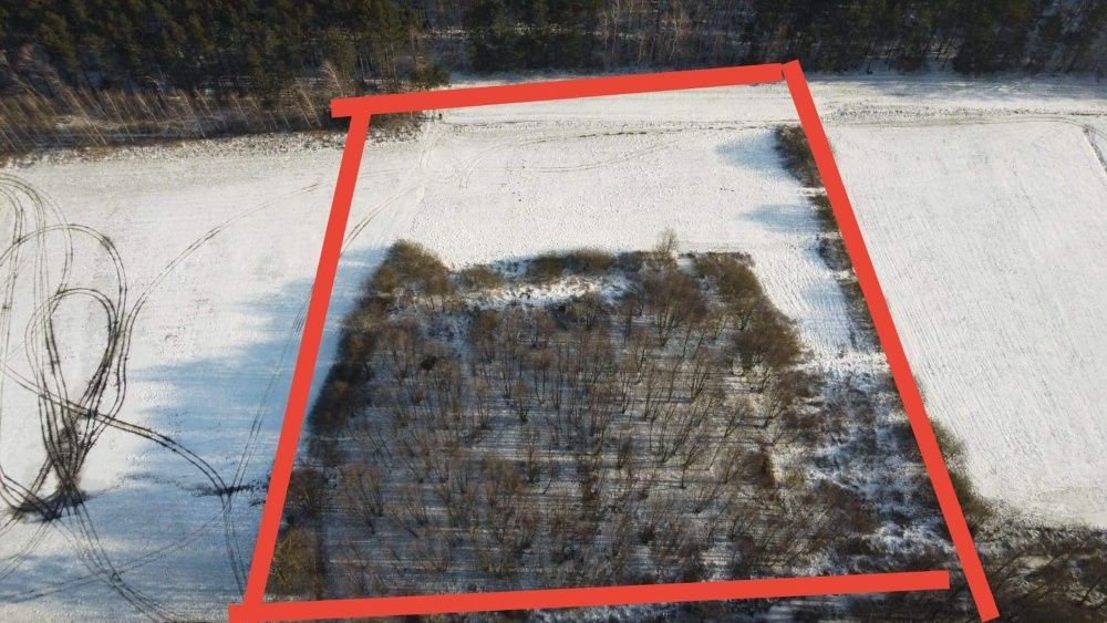 Działka rolno-budowlana Zbąszyń. Zdjęcie 4