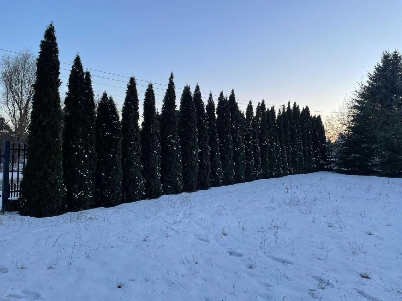 Działka budowlana Sulejów, ul. Dobra Woda. Zdjęcie 8
