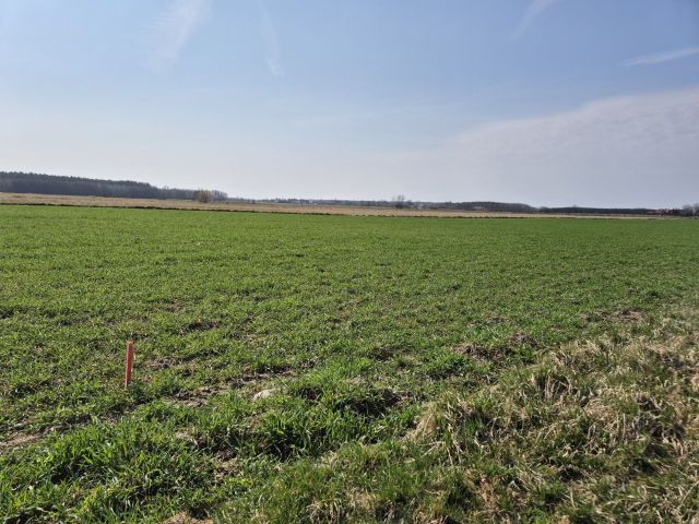 Działka budowlana Wola Bachorska. Zdjęcie 1