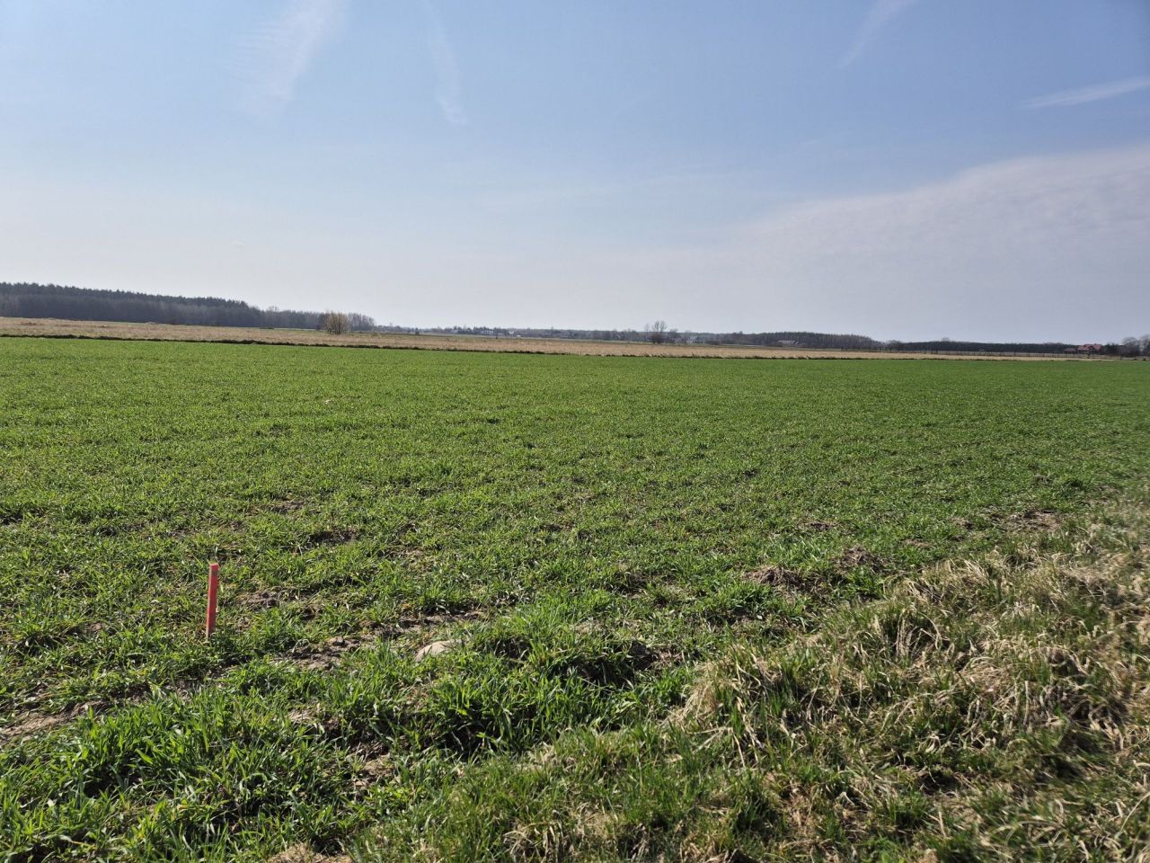 Działka budowlana Wola Bachorska. Zdjęcie 1