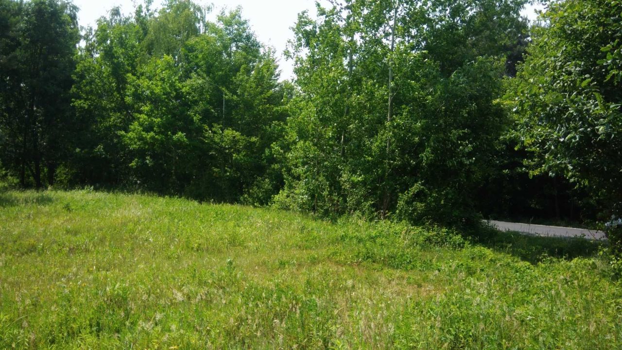 Działka rolno-budowlana Korzeń Królewski. Zdjęcie 3