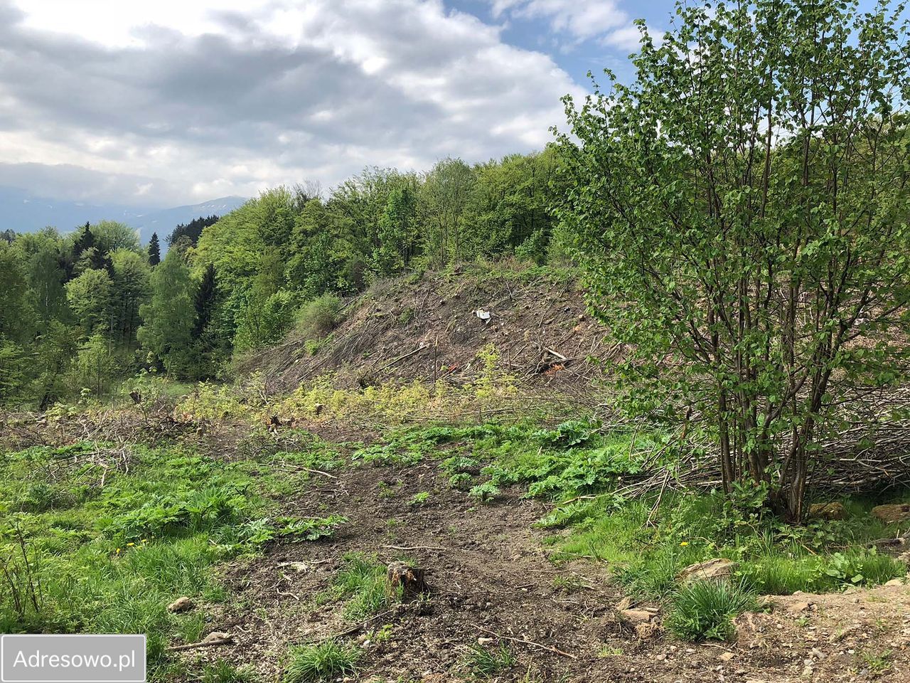 Działka inwestycyjna Szklarska Poręba Szklarska Poręba Górna, ul. Dolna. Zdjęcie 7