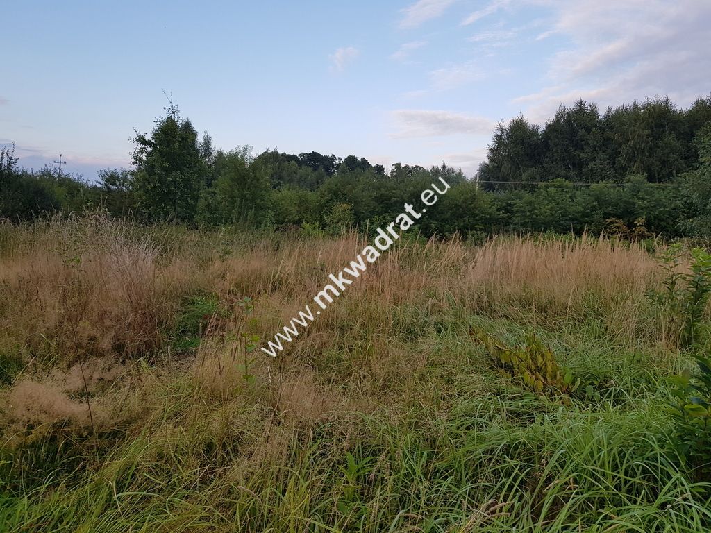 Działka budowlana Kajetany. Zdjęcie 1