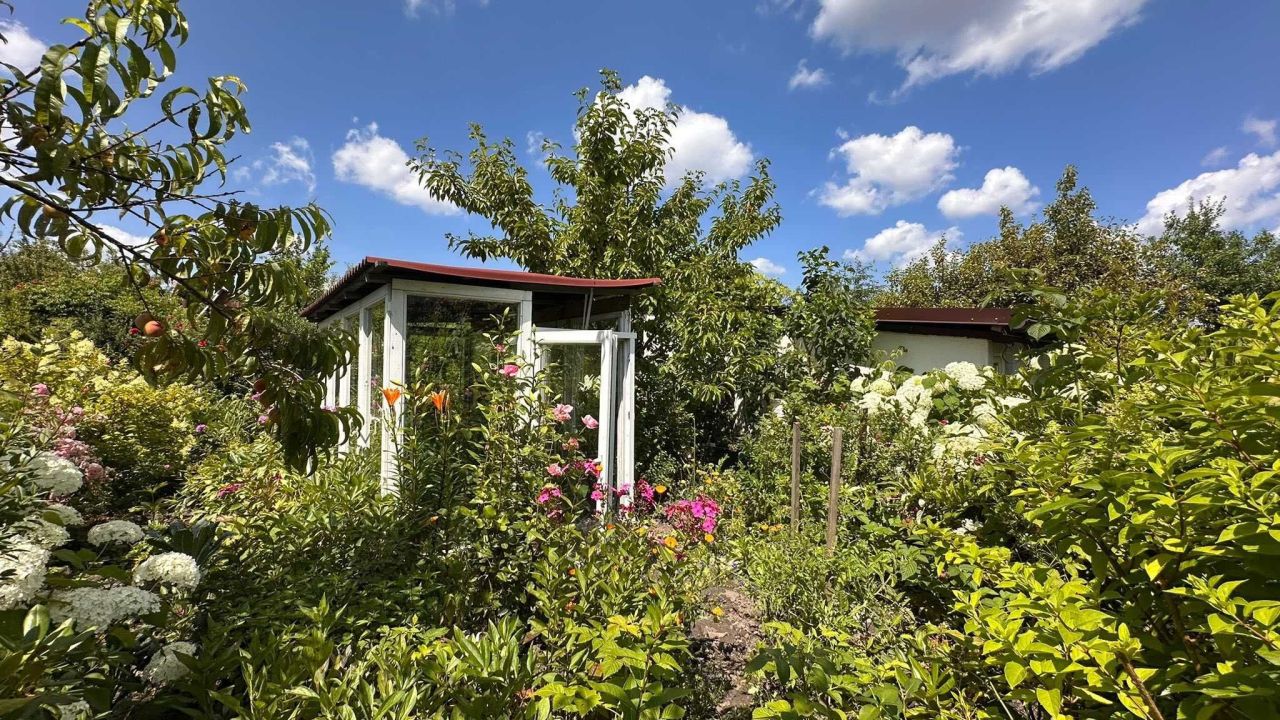 Działka rod Kielce, ul. Wrzosowa. Zdjęcie 5