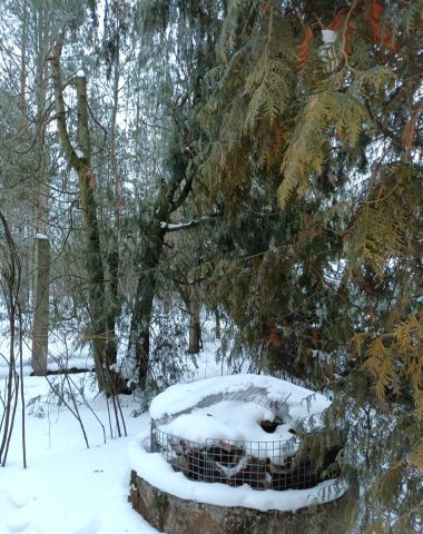 Działka rod Białystok Bagnówka, ul. Krzysztofa Pendereckiego. Zdjęcie 23