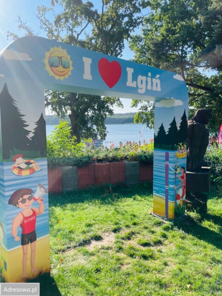 Działka rod Lgiń. Zdjęcie 5