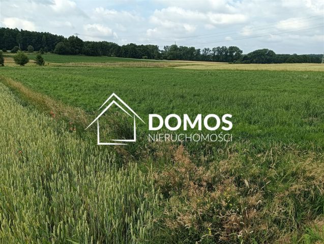 Działka budowlana Mikołów Mokre. Zdjęcie 3