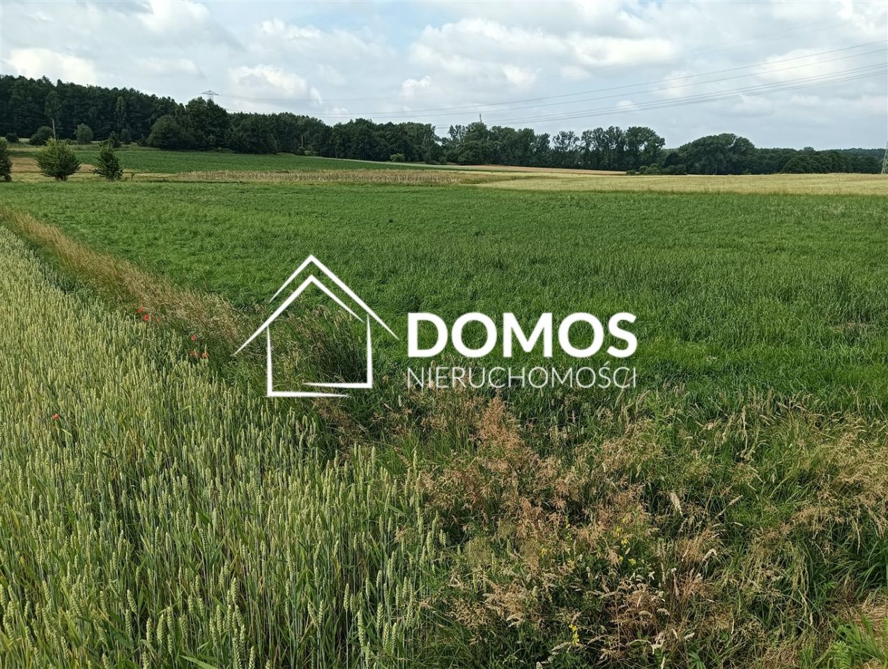 Działka budowlana Mikołów Mokre. Zdjęcie 3