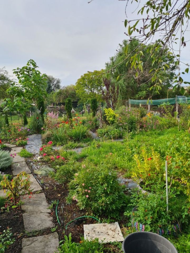 Działka rod Lublin Podzamcze, al. Unii Lubelskiej. Zdjęcie 2