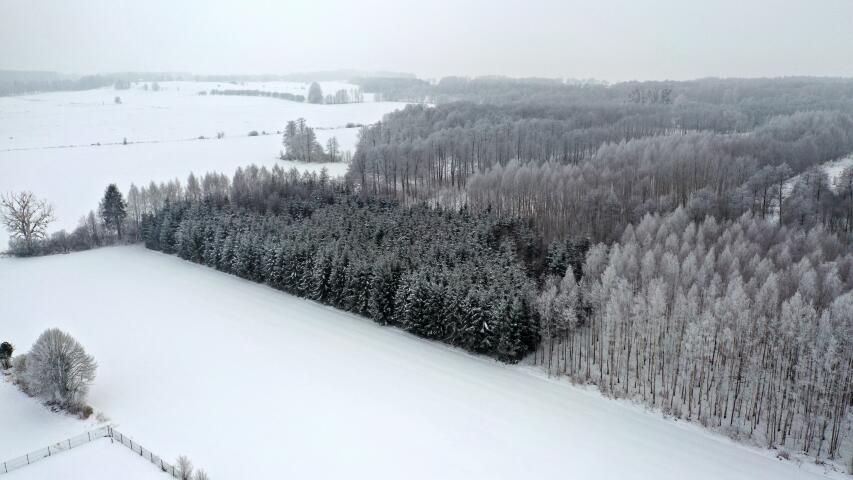 Działka leśna Harsz. Zdjęcie 8