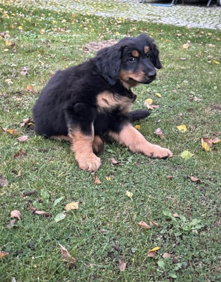 Mieszkanie 3-pokojowe Bielany Wrocławskie, ul. Ogrodowa. Zdjęcie 16