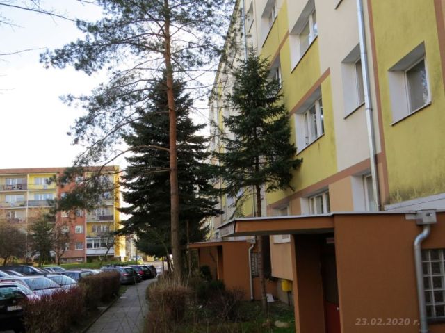 Mieszkanie 4-pokojowe Gdańsk Chełm, ul. Witolda Grabowskiego. Zdjęcie 2