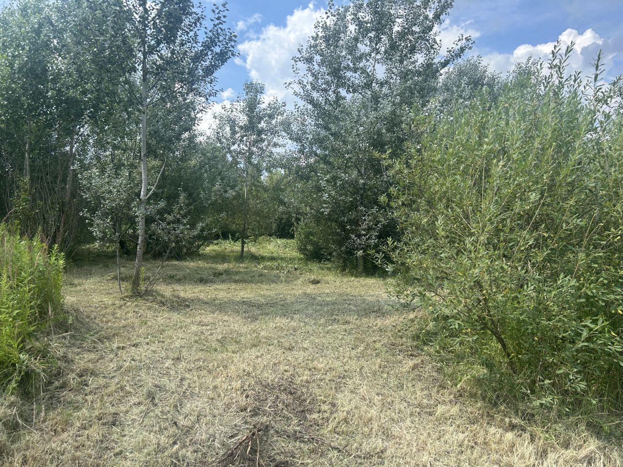 Działka budowlana Stare Babice, ul. Izabelińska. Zdjęcie 3