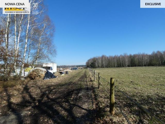 Działka budowlana Krzywice. Zdjęcie 7