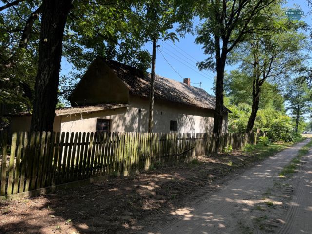 Działka siedliskowa Stefanów Ruszkowski. Zdjęcie 10