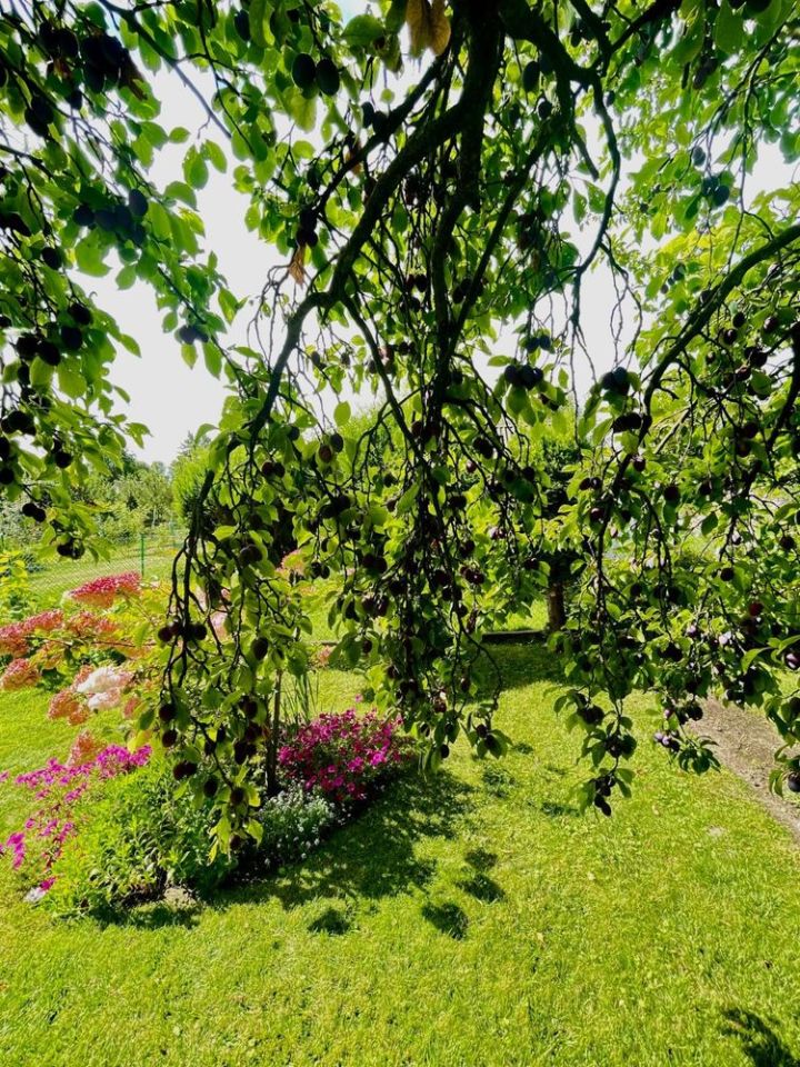 Działka rod Stargard, ul. Gdańska. Zdjęcie 6