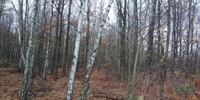 Działka Katowice Ligota, ul. Upadowa. Zdjęcie 4