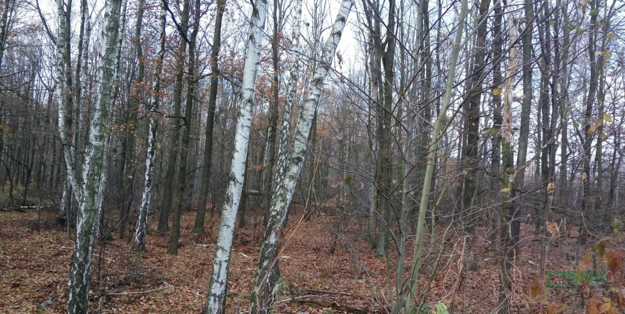 Działka inna Katowice Ligota, ul. Upadowa. Zdjęcie 4