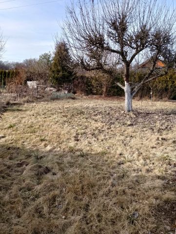 Działka rod Sieraków, ul. Wroniecka. Zdjęcie 7