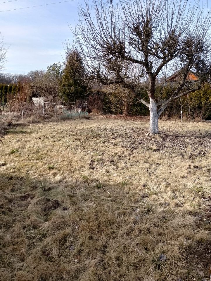 Działka rod Sieraków, ul. Wroniecka. Zdjęcie 7