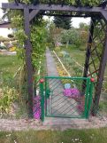 Działka rod Miroszowice. Zdjęcie 3