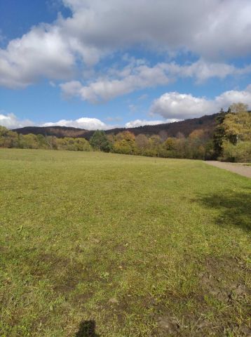 Działka rolno-budowlana Kiełczawa. Zdjęcie 1