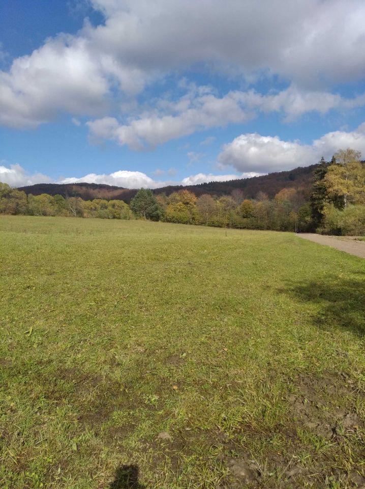 Działka rolno-budowlana Kiełczawa. Zdjęcie 1