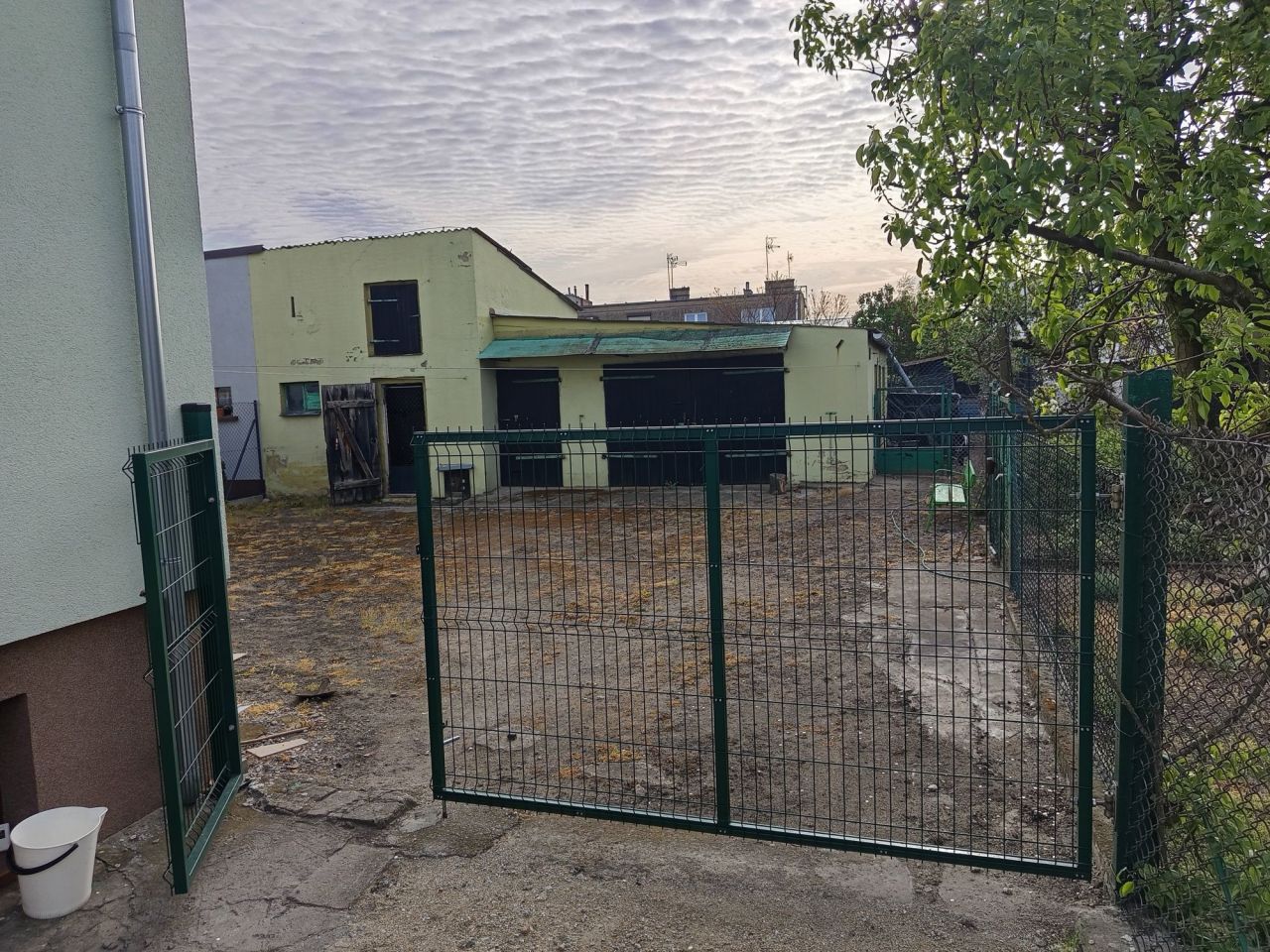 bliźniak Nieczajna. Zdjęcie 7