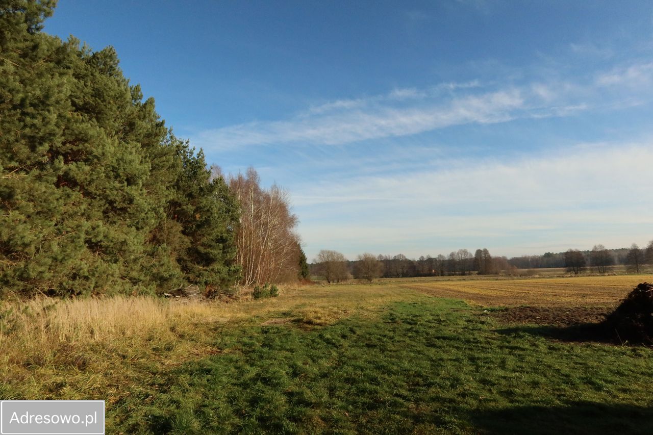 dom wolnostojący, 2 pokoje Chojny. Zdjęcie 3