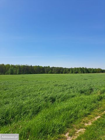 Działka rolna Pobyłkowo Małe. Zdjęcie 1