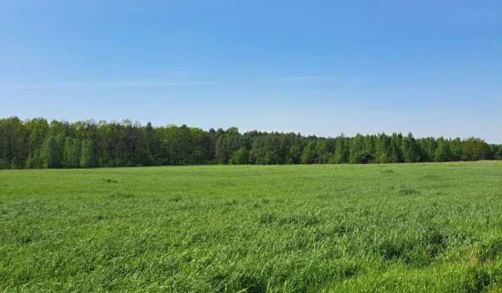 Działka rolna Pobyłkowo Małe