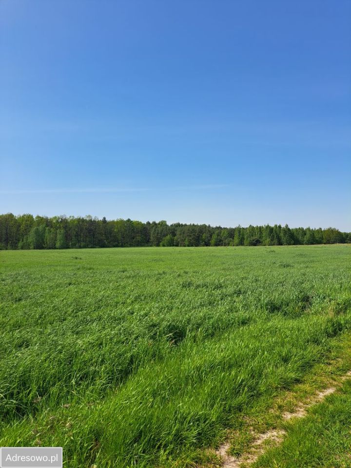 Działka rolna Pobyłkowo Małe. Zdjęcie 1