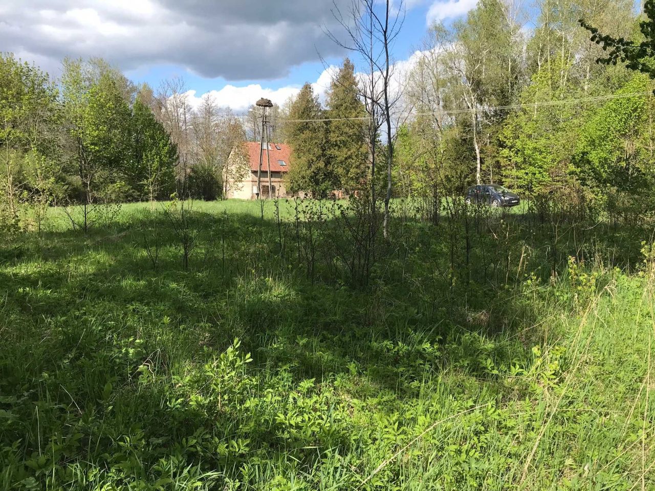 Działka rolno-budowlana Wronki. Zdjęcie 4