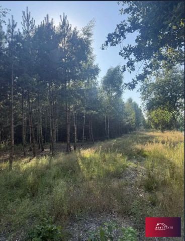 Działka budowlana Ciężków. Zdjęcie 5