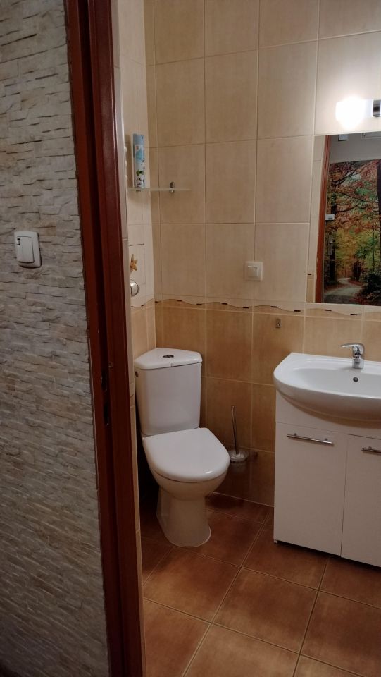 Mieszkanie 2-pokojowe Poznań Piątkowo, os. Zygmunta Starego. Zdjęcie 10