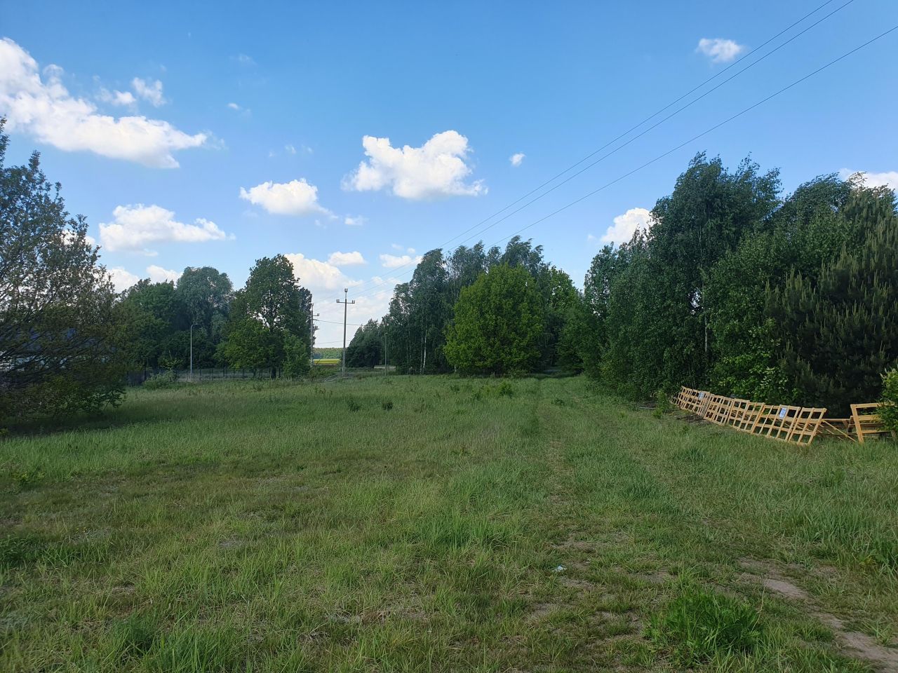 Działka budowlana Wąsy-Kolonia, ul. Graniczna. Zdjęcie 5