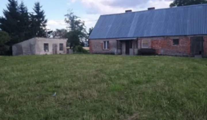 Działka siedliskowa Żalno