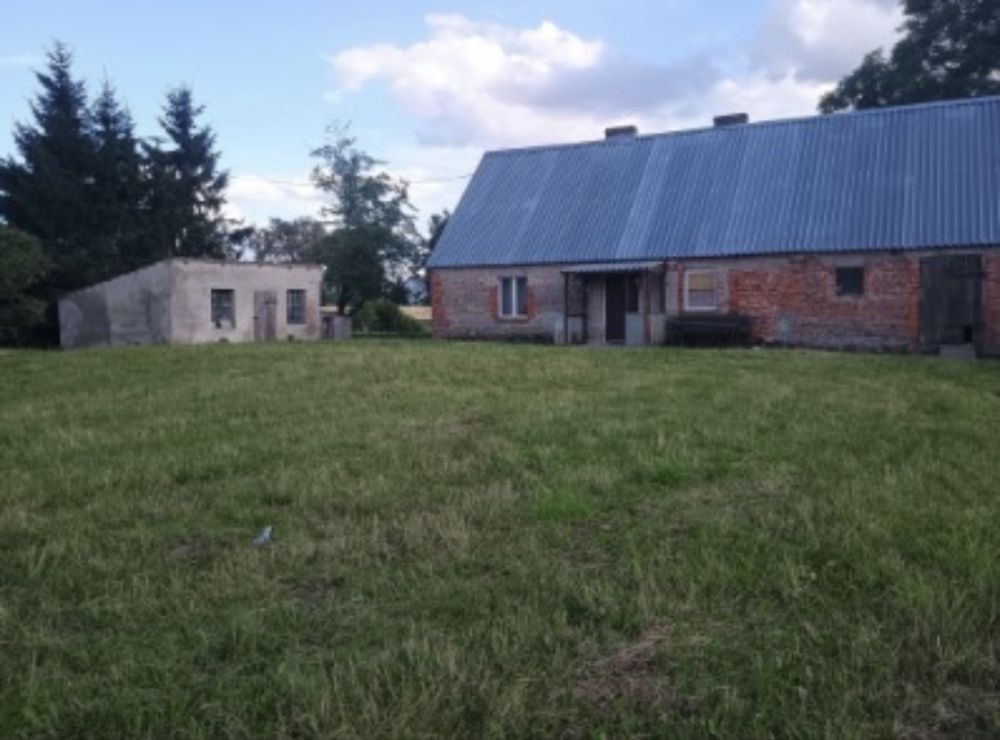 Działka siedliskowa Żalno. Zdjęcie 1