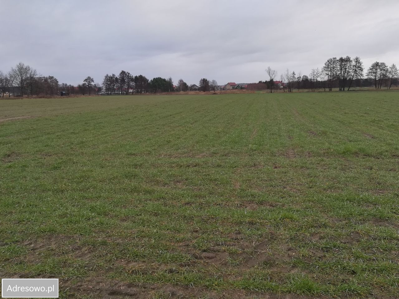 Działka budowlana Byków, ul. Robotnicza. Zdjęcie 3